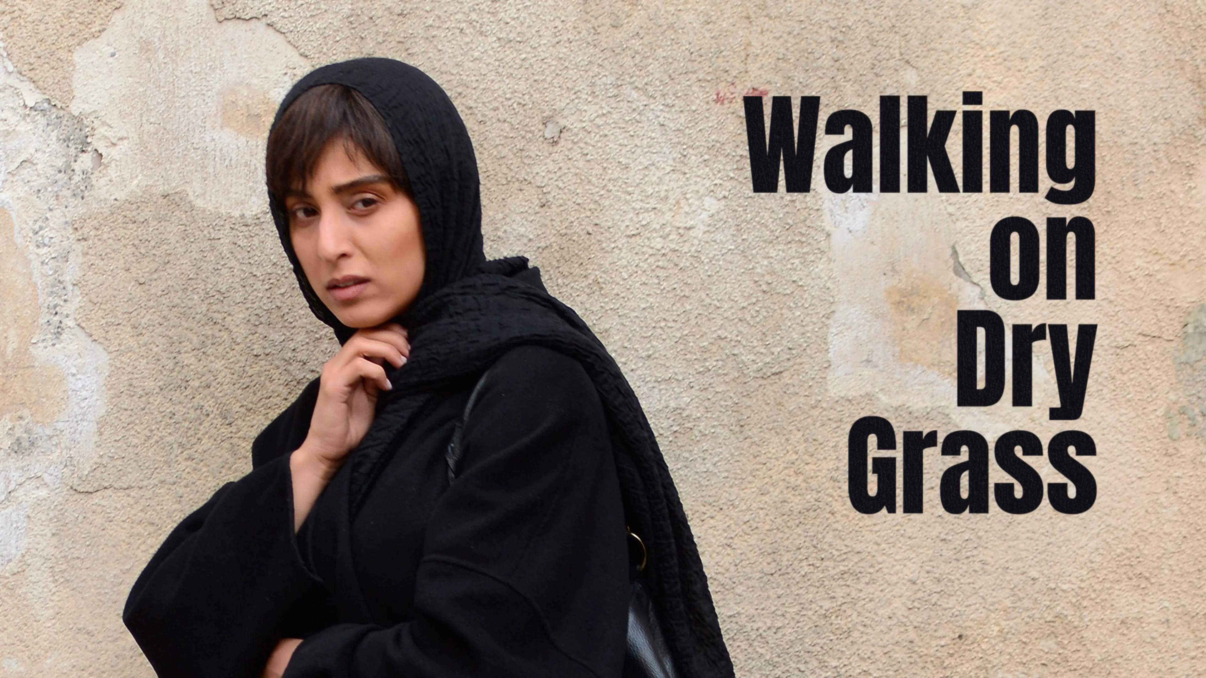 Walking on Dry Grass poster